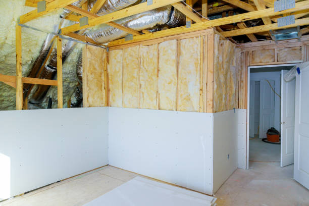 Best Cellulose Insulation in Alamo Heights, TX