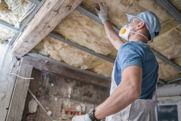 Best Fiberglass Insulation in Alamo Heights, TX