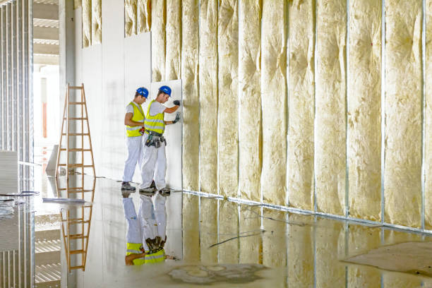 Best Spray Foam Insulation in Alamo Heights, TX